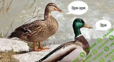 1632392570036.png