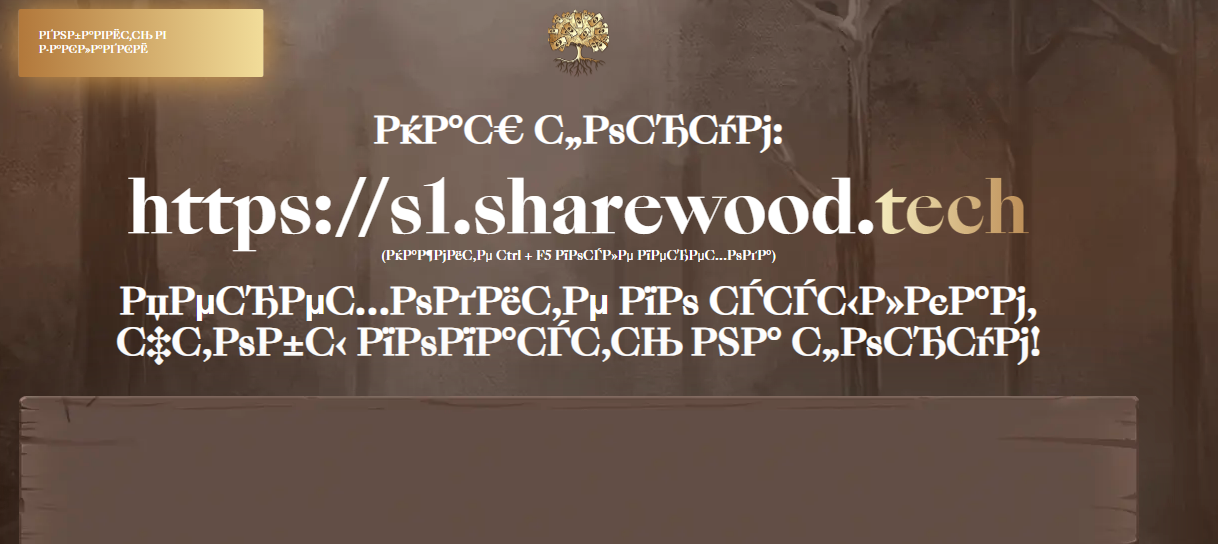 1762636512019.png