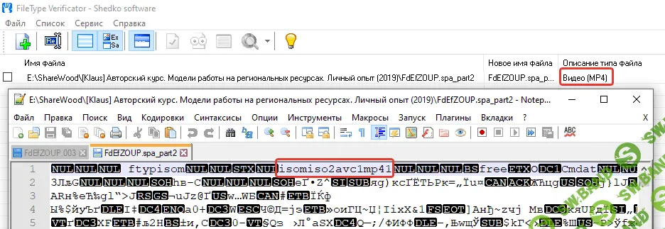 2020-01-06_19-16-45.png