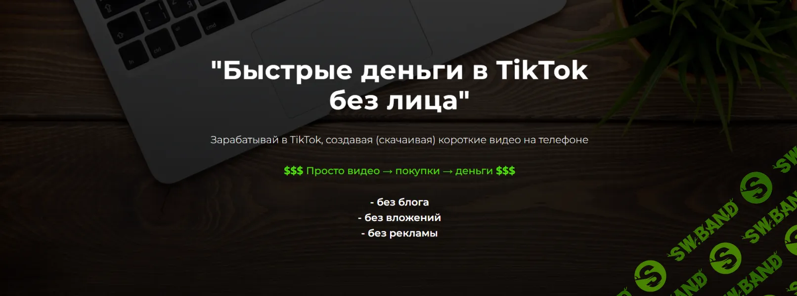[Александр Пуминов] Быстрые деньги в TikTok без лица (2025)