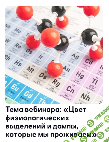 [Анастасия Семко] Цвет физиологических выделений и дампы, которые мы проживаем (2026)