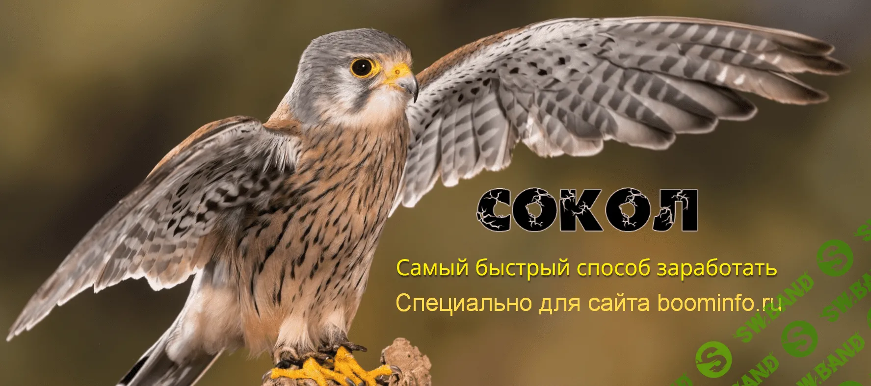 [Андрей Копылов] "Сокол" - Самый быстрый способ заработать (2020)