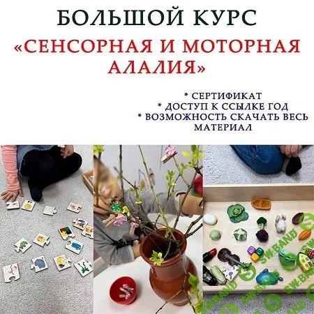 [Ангелина Сыщенко] Сенсорная и моторная алалия (2022)