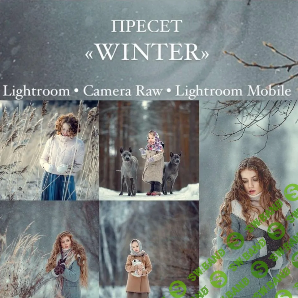 [Анна Мельникова] Пресет Winter (2021)