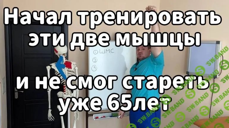 [Антон Алексеев] Как научиться управлять своим телом. Упражнения для восстановления биомеханики движений (2026)