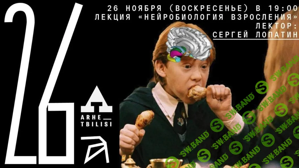 [Архэ] Нейробиология взросления (2023)