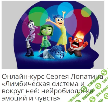 [Архэ, Сергей Лопатин] Лимбическая система и вокруг неё. Нейробиология мотиваций. На что способен дофамин на самом деле? Л.2 (2025)