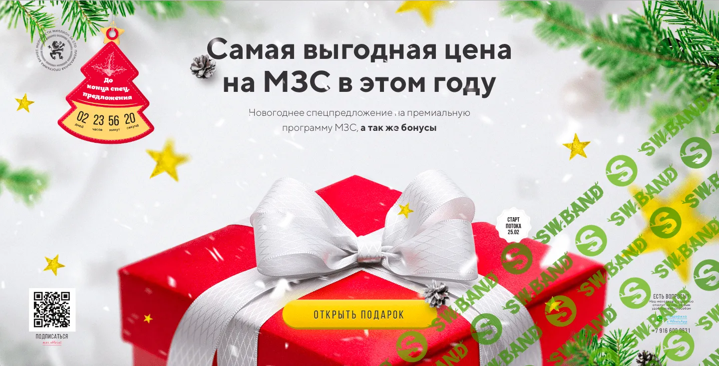 [Бизнес Молодость - МЗС] МЗС New Year 2020 - Онлайн марафон