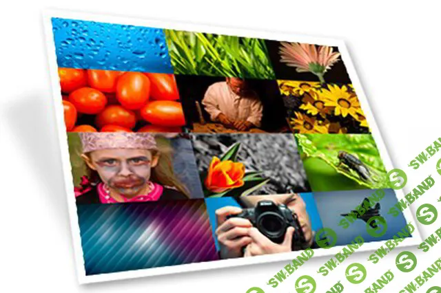 [Bundlestorm] 1700 Stock Images