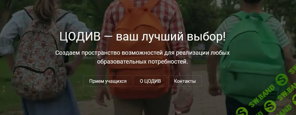 [ЦОДИВ] Английский язык 2 класс (2020)