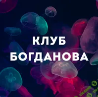 [Даниил Постников] Западный YouTube (Ноябрь 2025)