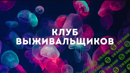 [Дмитрий Богданов] Клуб Выживальщиков (январь 2025)