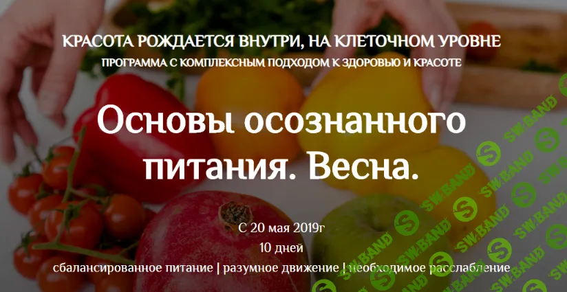 [Екатерина Андреева] Основы осознанного питания. Весна (2019)