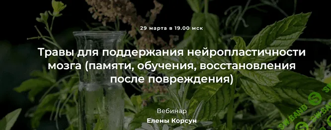 [Елена Корсун] Травы для поддержания нейропластичности мозга (памяти, обучения, восстановления после повреждения) (2022)