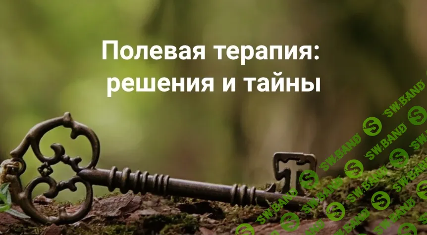 [Елена Веселаго] Полевая терапия: решения и тайны (2025)