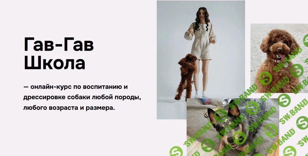 [Гав-гав школа, Татьяна Рожина] Гав-гав школа 9.0 (2025)