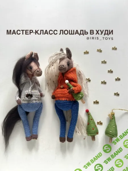 [Iris_Toys, Ирина Ни] МК Лошадь в худи (2025)