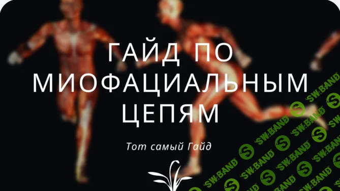 [Юлия Грошева] Гайд по кинетическим миофасциальным цепям (2026)