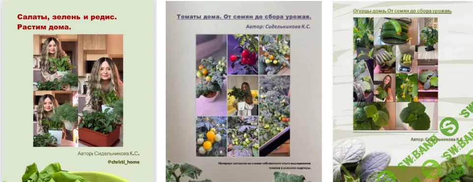 [Кристина Сидельникова] Растим дома: огурцы, томаты, салаты, зелень, редис (2026)