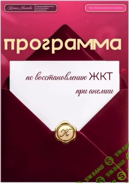 [Ксения Минаева] Программа по восстановлению ЖКТ при анемии (2026)