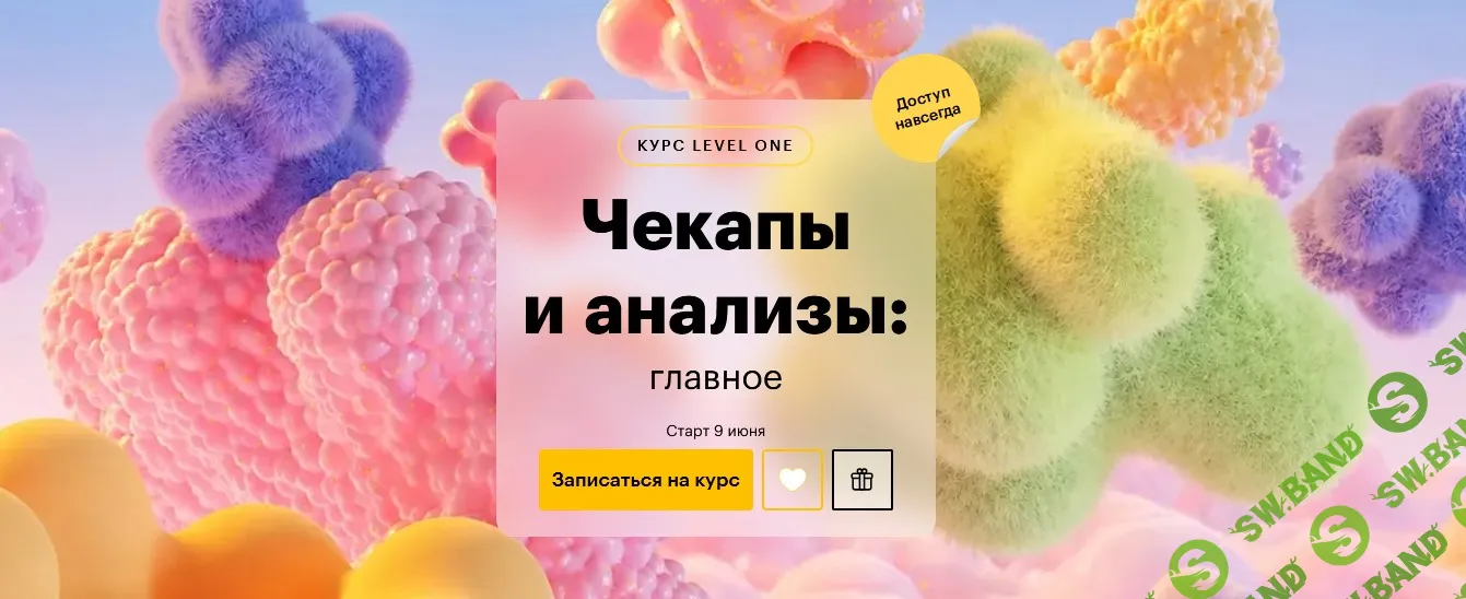 [Level One, Дмитрий Шелег] Чекапы и анализы: главное (2026)