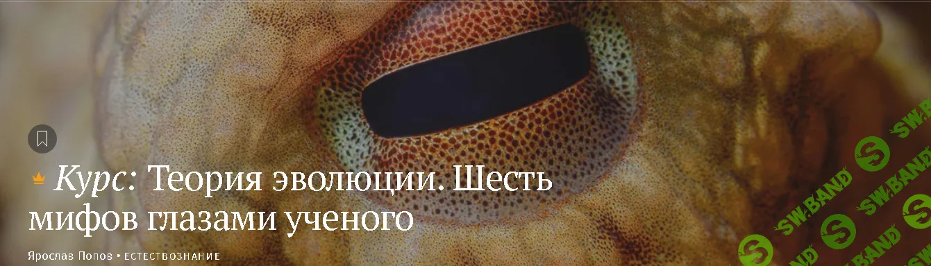 [Magisteria, Ярослав Попов] Теория эволюции. Шесть мифов глазами ученых (2026)