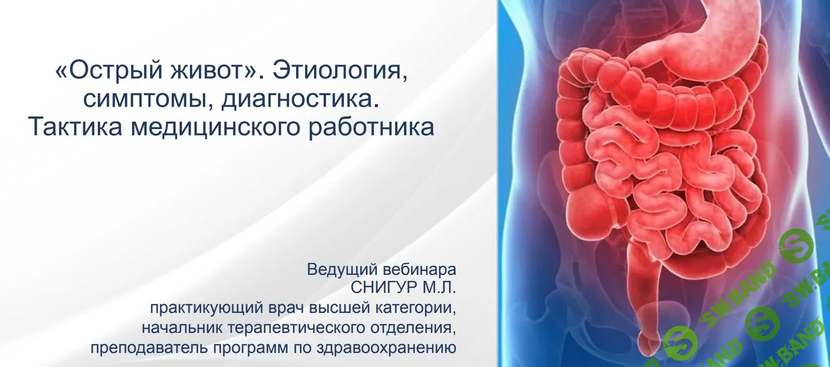 [Максим Снигур] Острый живот. Этиология, симптомы, диагностика (2021)