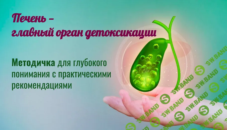 [МАН] Печень – главный орган детоксикации (2026)
