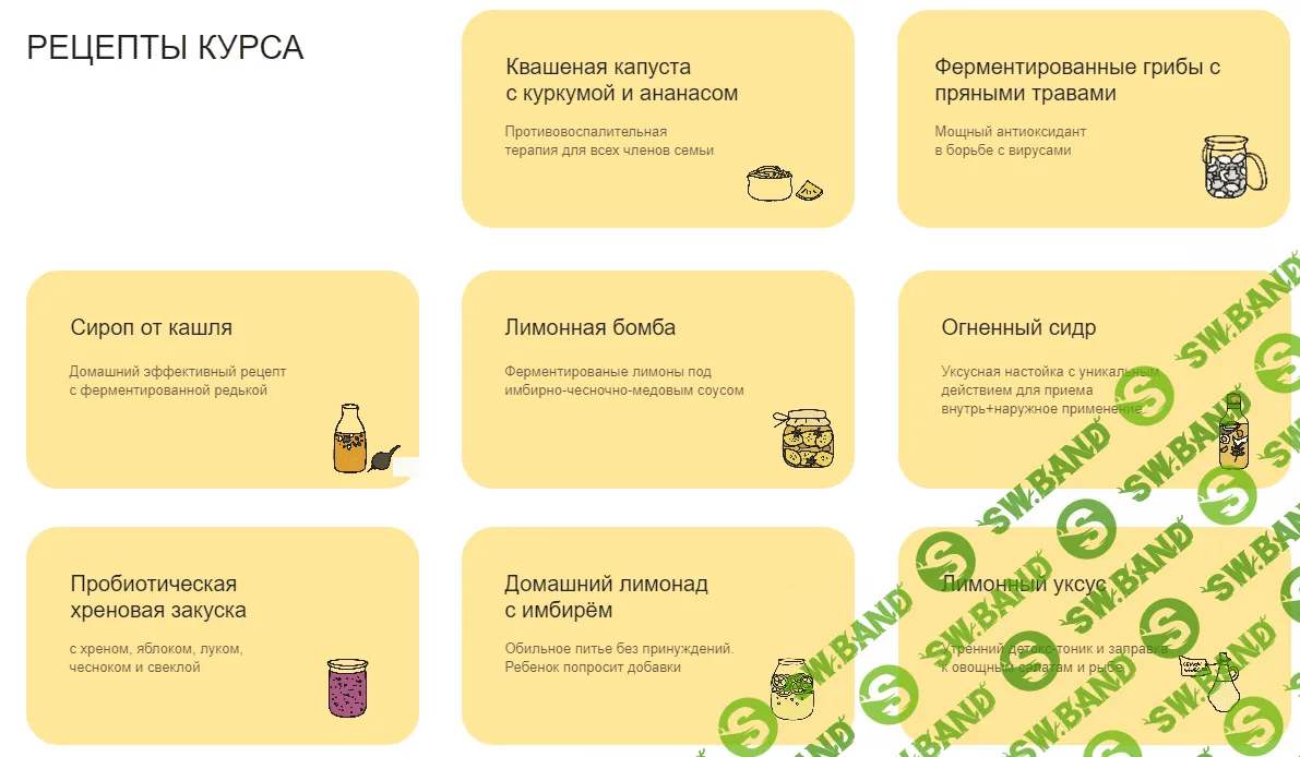 [marika_fermentinwonderland] Ферментация для иммунитета (2022)