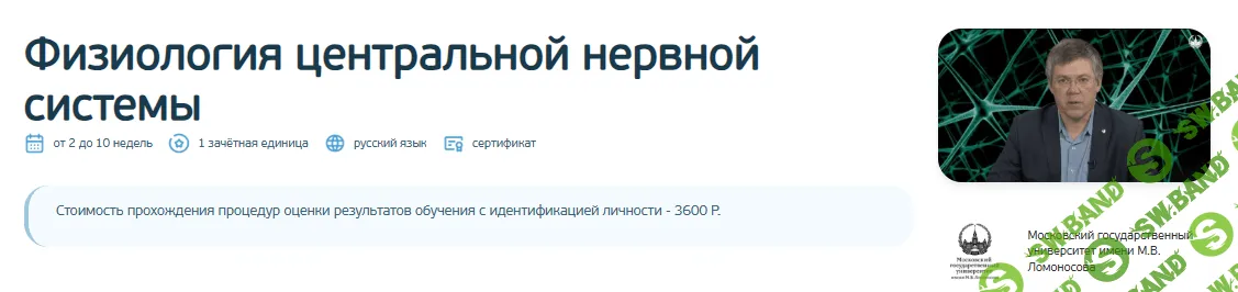 [МГУ имени М.В.Ломоносова, Вячеслав Дубынин] Физиология центральной нервной системы (2026)