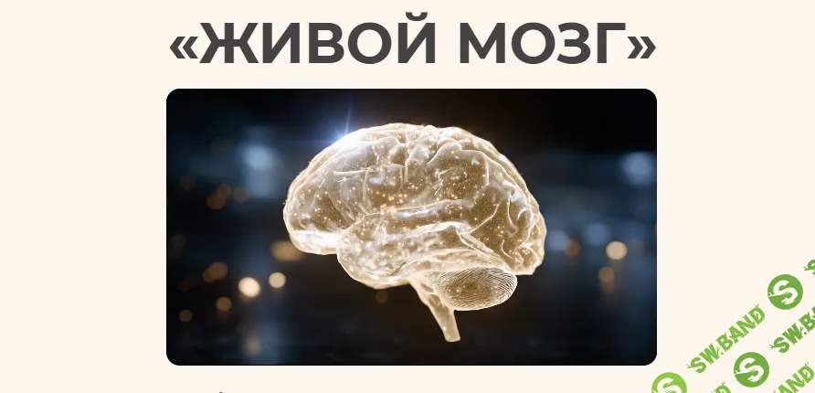 [nutriciolog_zhukova, Валентина Жукова, Песня Самира] Живой мозг (2026)