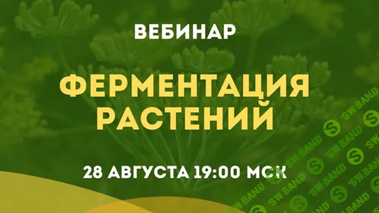 [Ольга Данилюк] Закрытый клуб Ольги Данилюк (август 2025)