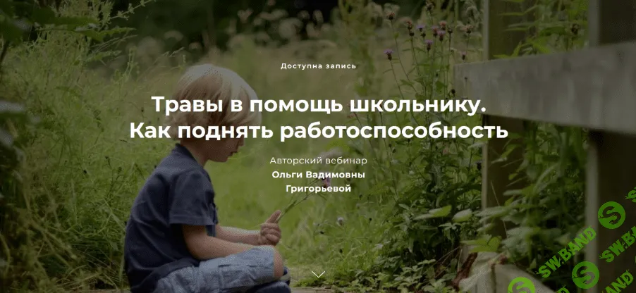 [Ольга Григорьева] Травы в помощь школьнику. Как поднять работоспособность (2022)
