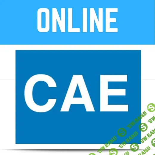 [Paul Newson] CAE – Certificate in Advanced English - C1 (whole course) (2020)