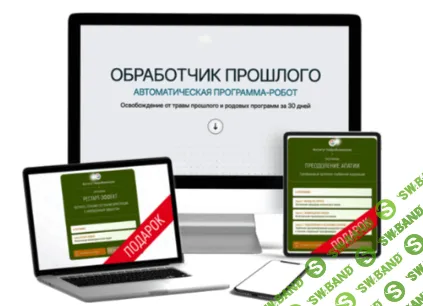 [PSY-Инженерия, Марта Николаева-Гарина] Обработчик прошлого (2026)