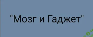 [Салима Саиди] Мозг и гаджет (2020)