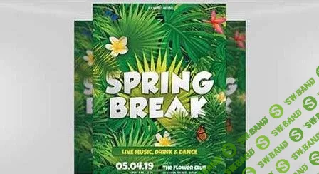 Spring Break 06