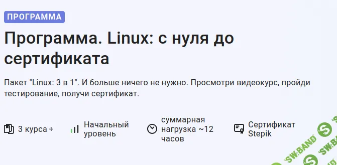 [Stepik, Pragmatic Programmer] Программа. Linux: с нуля до сертификата (2026)