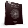 [Subtleenergysciences] Catalyst
