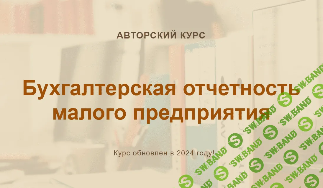 [учетбеззабот.рф] Бухгалтерская отчетность малого предприятия (2024)