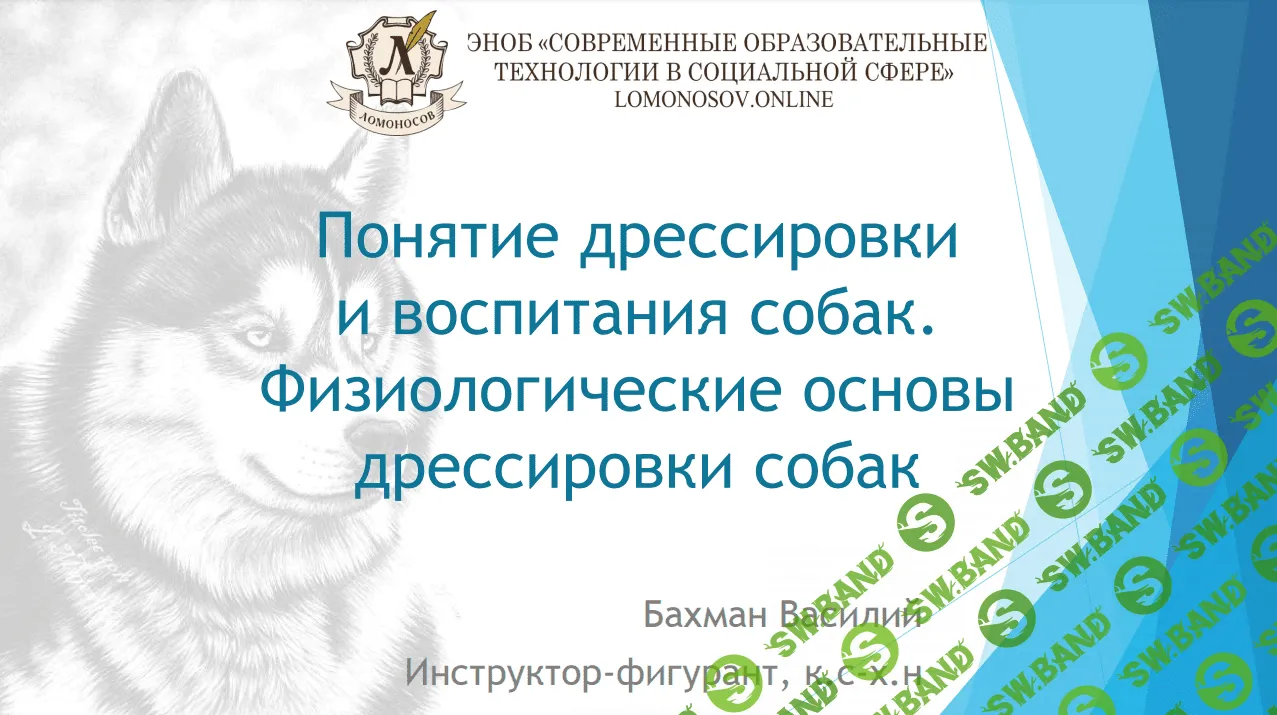 [Василий Бахман] Понятия дрессировки и воспитания собак. Физиологические основы дрессировки собак (2023)