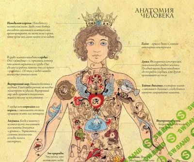 [Велимира] Оккультная анатомия. Часть 1 (2023)