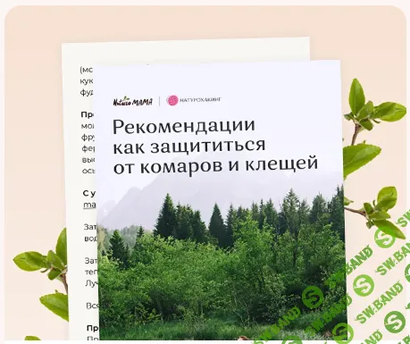 [Вероника Хуснутдинова] Рекомендации как защититься от комаров и клещей (2023)