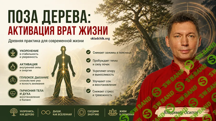 [Владимир Осипов] Поза дерева: активация врат жизни (2026)