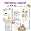 [Defectology, Виктория Гуренко] Структуры занятий по звуку Р (2025)