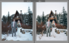 DUKE MOOSE IRON ICE PRESET PACK