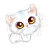 elena_biz_fl