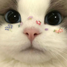 mmursa