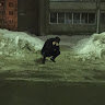 jrslvrngn43
