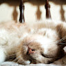 Caterina_Caty